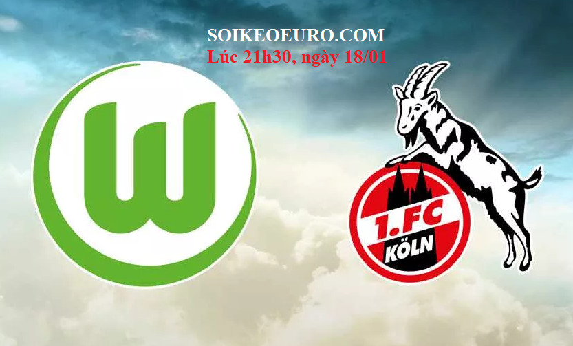 Soi keo FC Koln vs Wolfsburg hinh anh 1